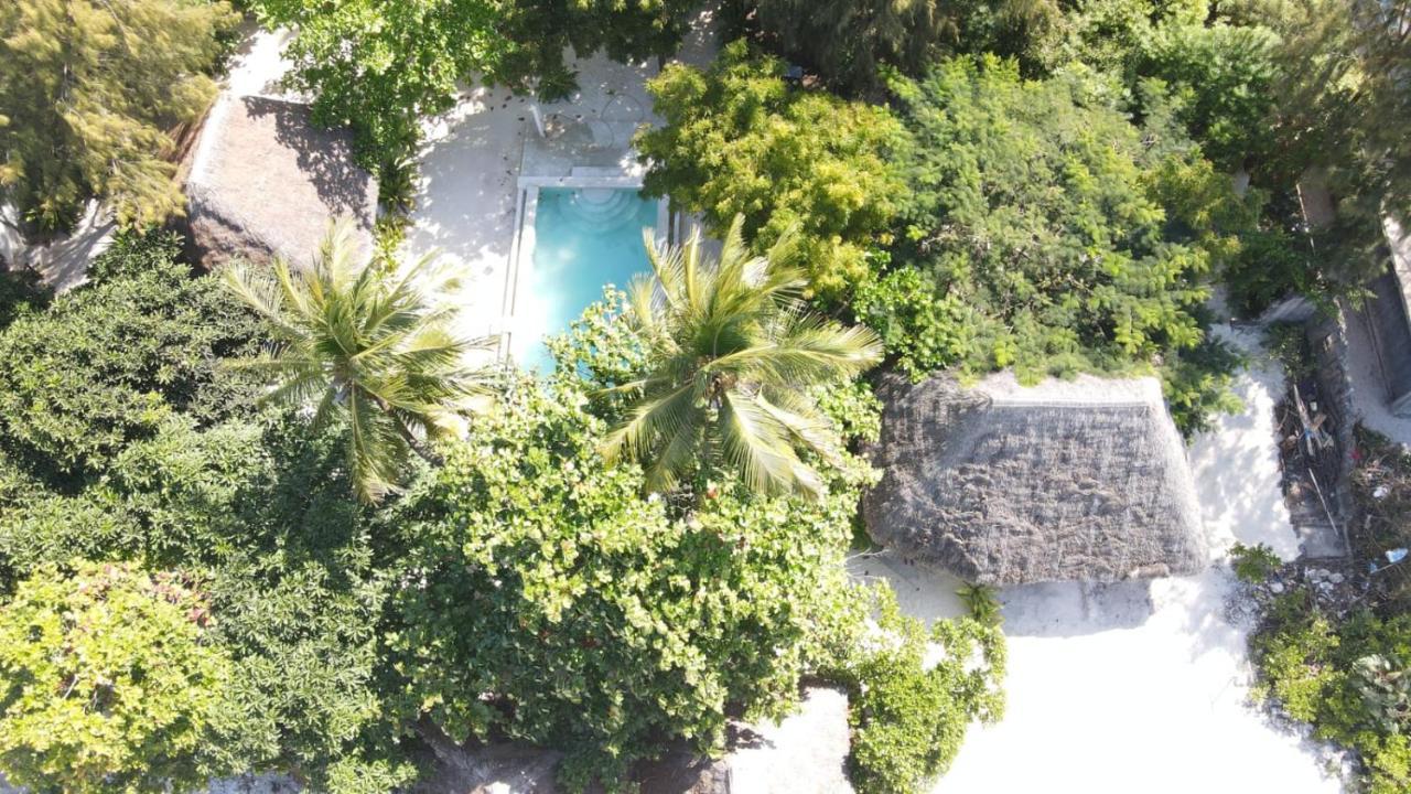 Garden Beach Bungalows Jambiani Jambiani  Bagian luar foto