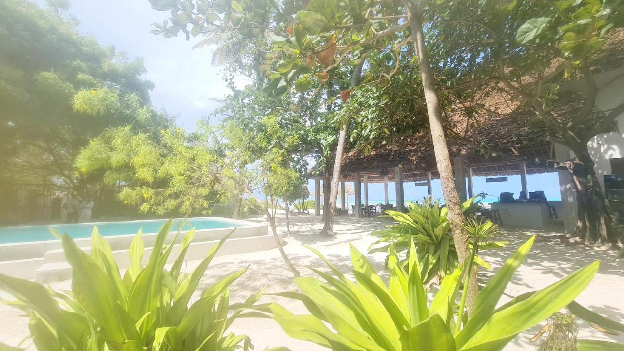 Garden Beach Bungalows Jambiani Jambiani  Bagian luar foto
